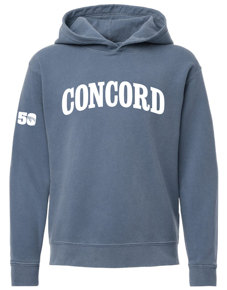 Youth 250 Hooded Sweatshirt