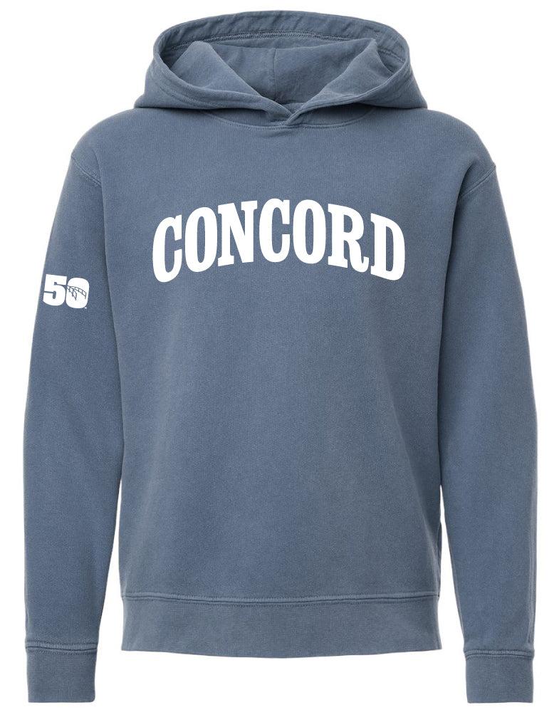 Youth 250 Hooded Sweatshirt-Happy Merch-Happy on Main