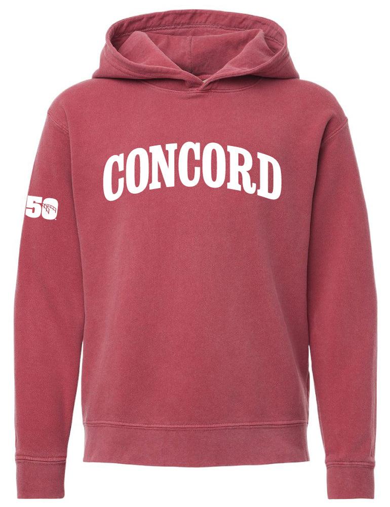 Youth 250 Hooded Sweatshirt-Happy Merch-Happy on Main