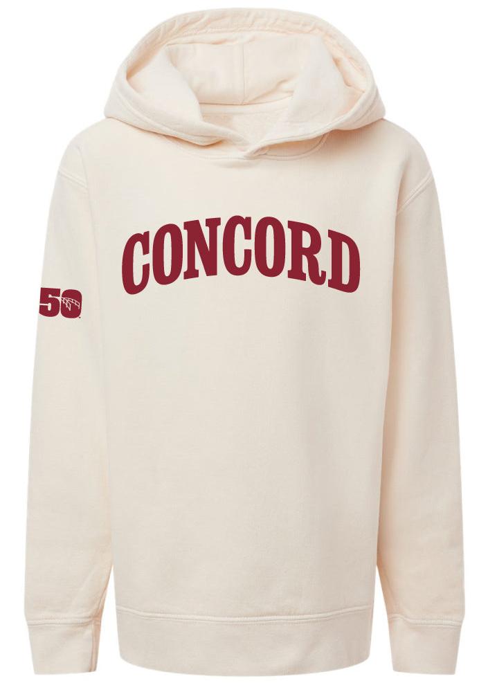 Youth 250 Hooded Sweatshirt-Happy Merch-Happy on Main