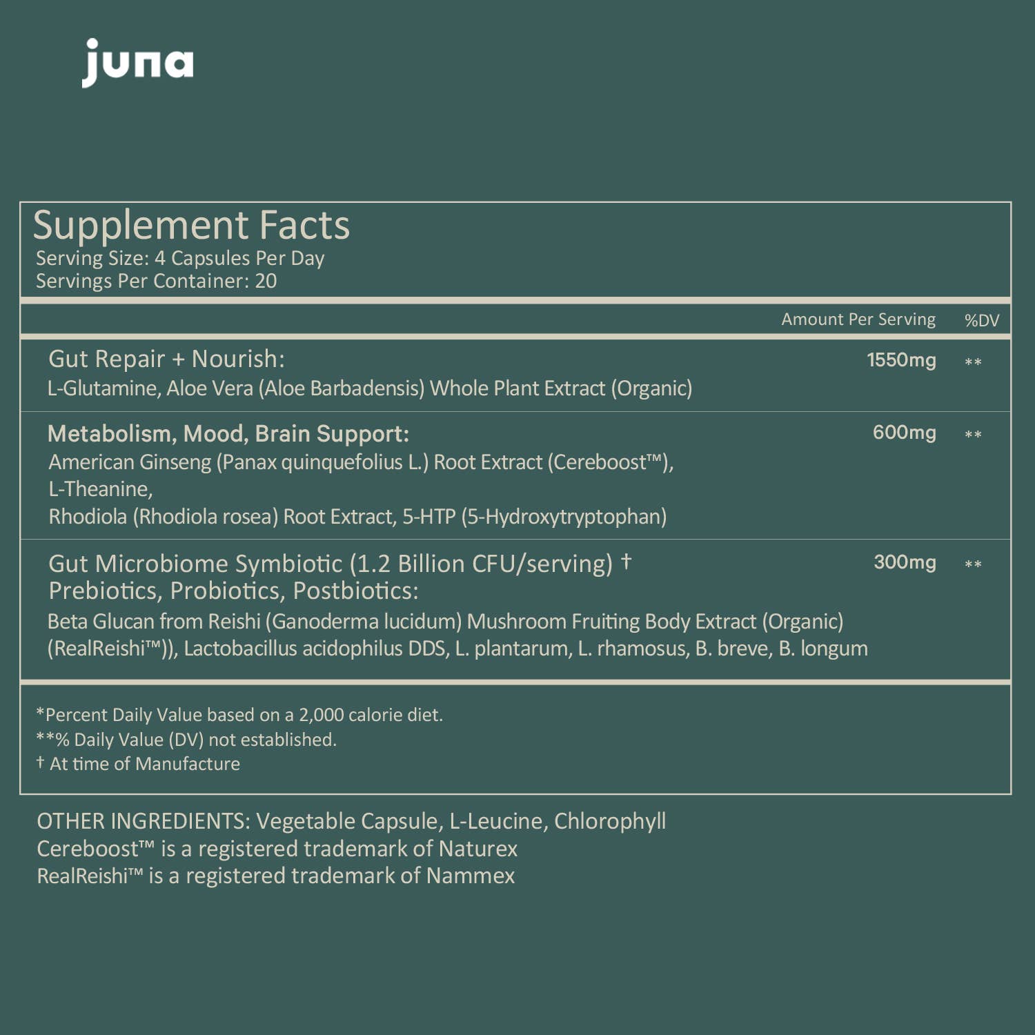Gut Therapy-Juna-Happy on Main