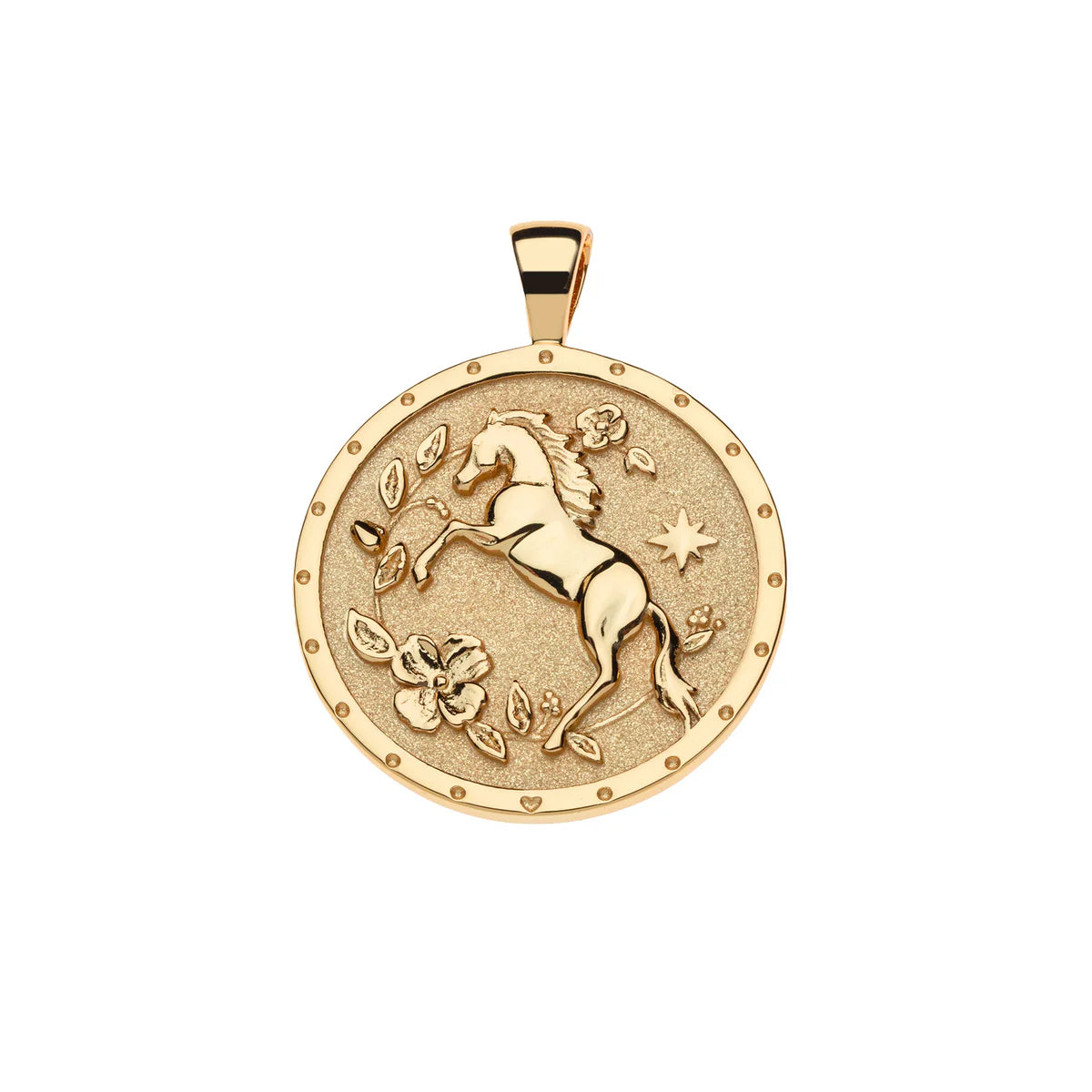 COURAGE Year of the Horse Pendant Coin - 16-18" Classic Rolo Chain-Jane Win-Happy on Main