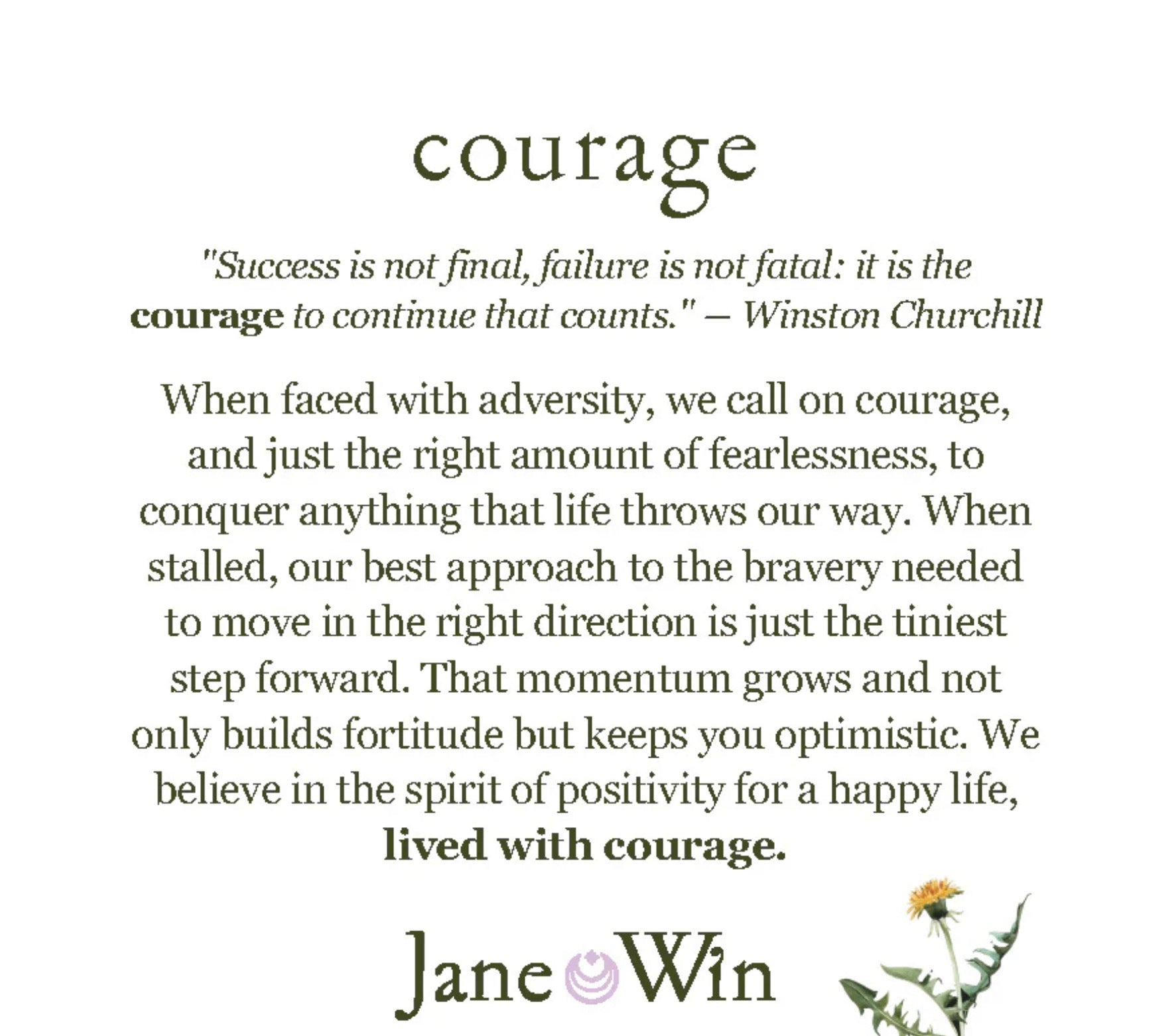 COURAGE Year of the Horse Pendant Coin - 16-18" Classic Rolo Chain-Jane Win-Happy on Main