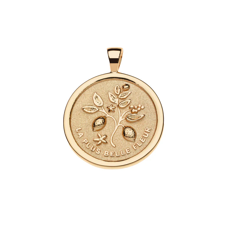 GRATITUDE JW Original Pendant Coin - Gold / 18" Drawn Link Chain-Jane Win-Happy on Main