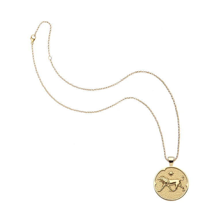 LEO JW Small Zodiac Pendant Coin - 16-18" Classic Rolo Chain-Jane Win-Happy on Main