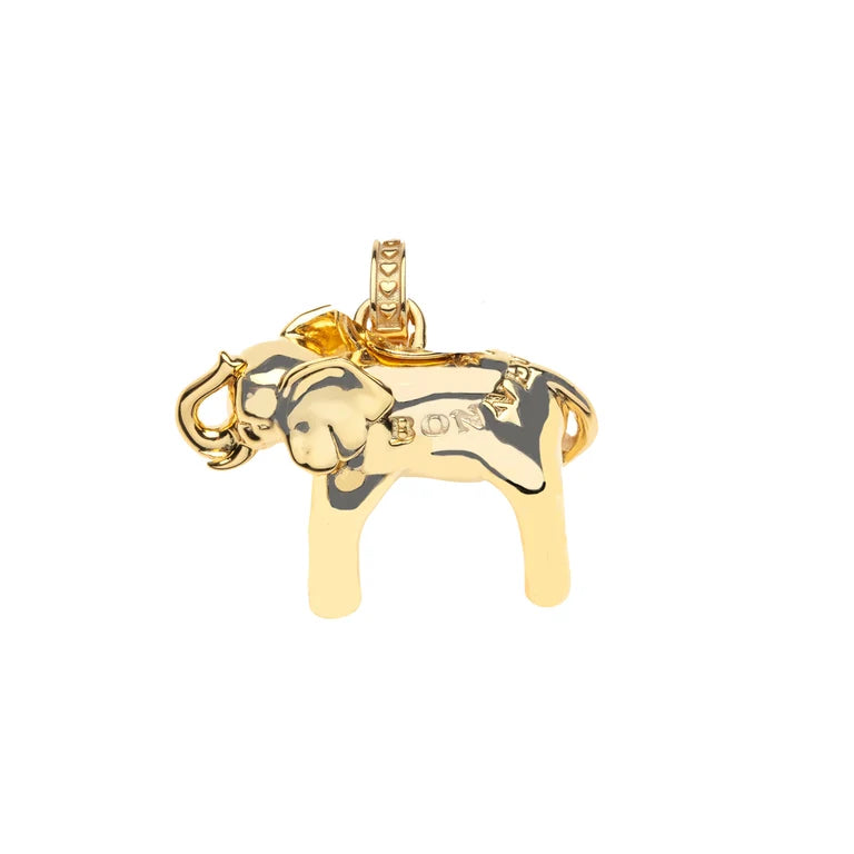LUCKY Bonne Chance Elephant Charm - 16-18" Classic Rolo Chain-Jane Win-Happy on Main