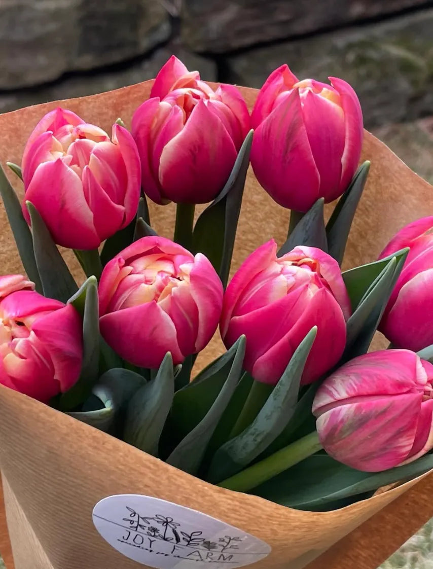 Joy Farm Bloom - Spring Blooms-Happy on Main-Happy on Main