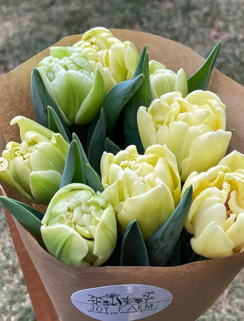 Joy Farm Bloom - Spring Blooms-Happy on Main-Happy on Main