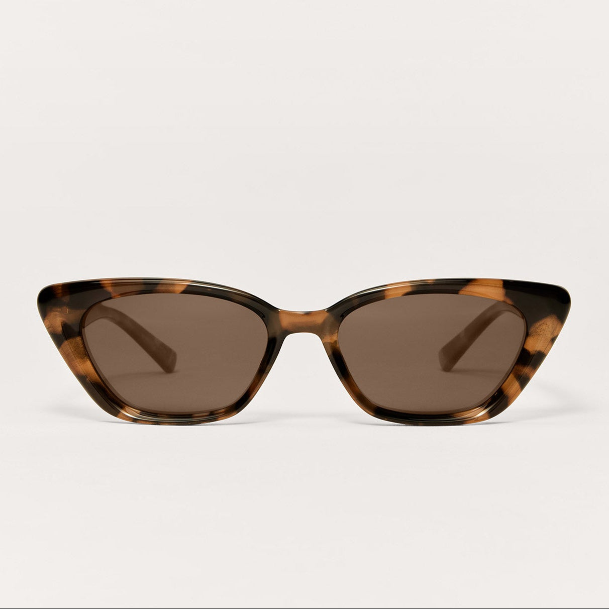 Staycation Brown Tortoise - Brown Polar-Z Supply-Happy on Main