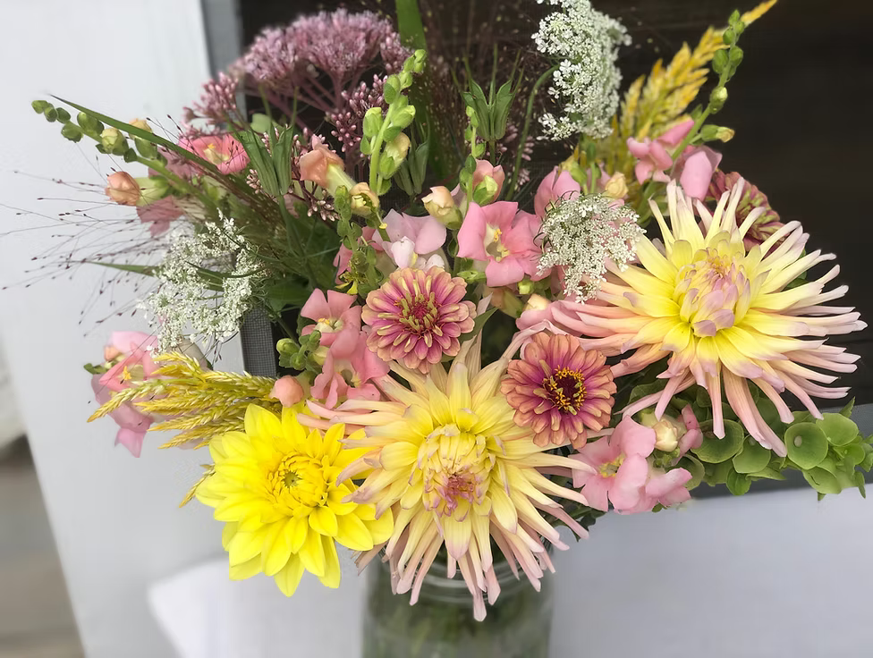 Joy Farm - Summer Blooms Pickup | Thursday, August 13th