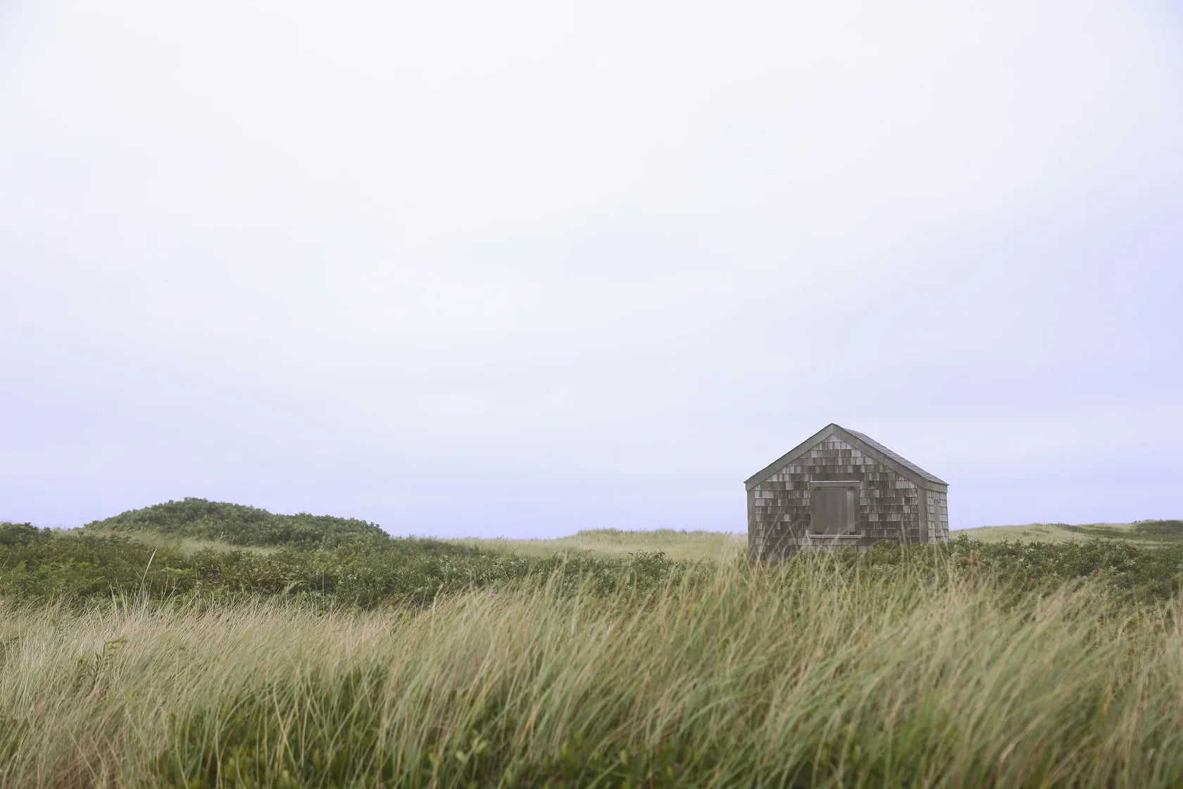 Lauren Marttila Photography