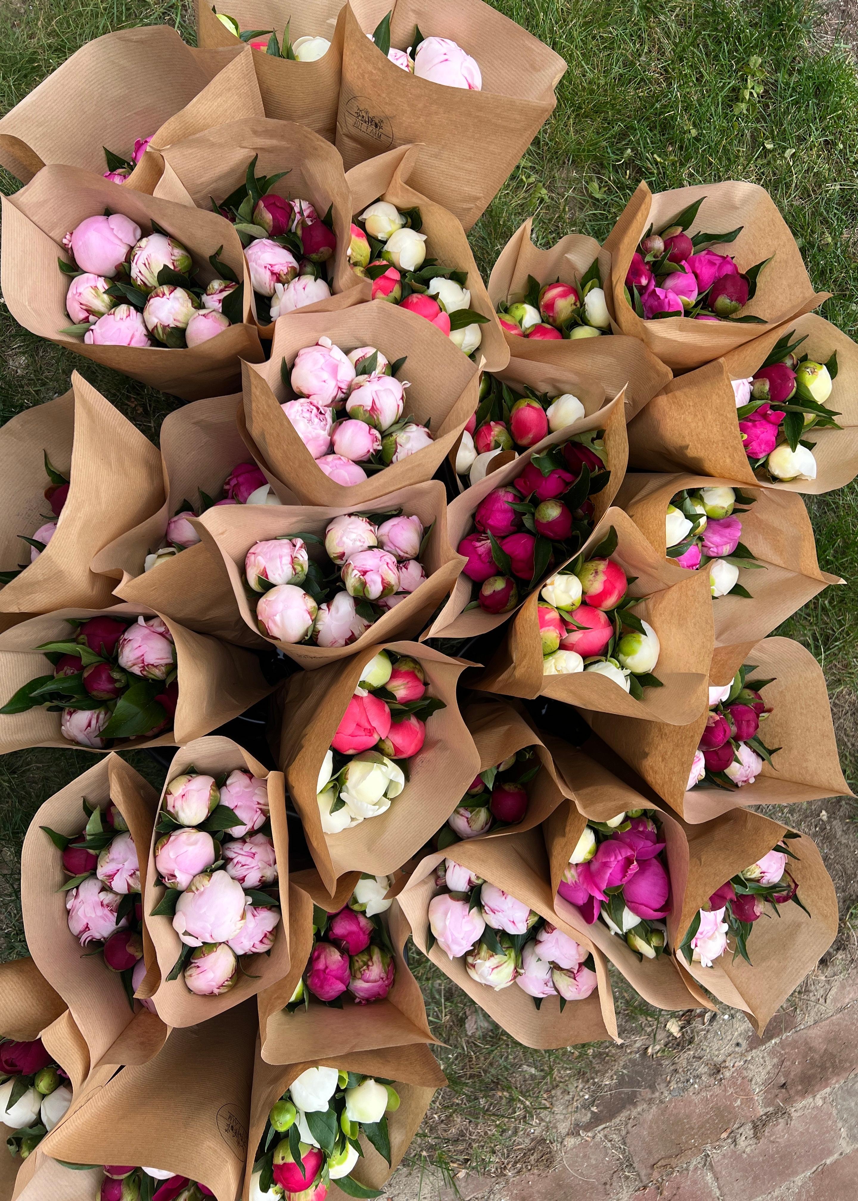 Bloom Share w/ Joy Farm-Consignment-Happy on Main