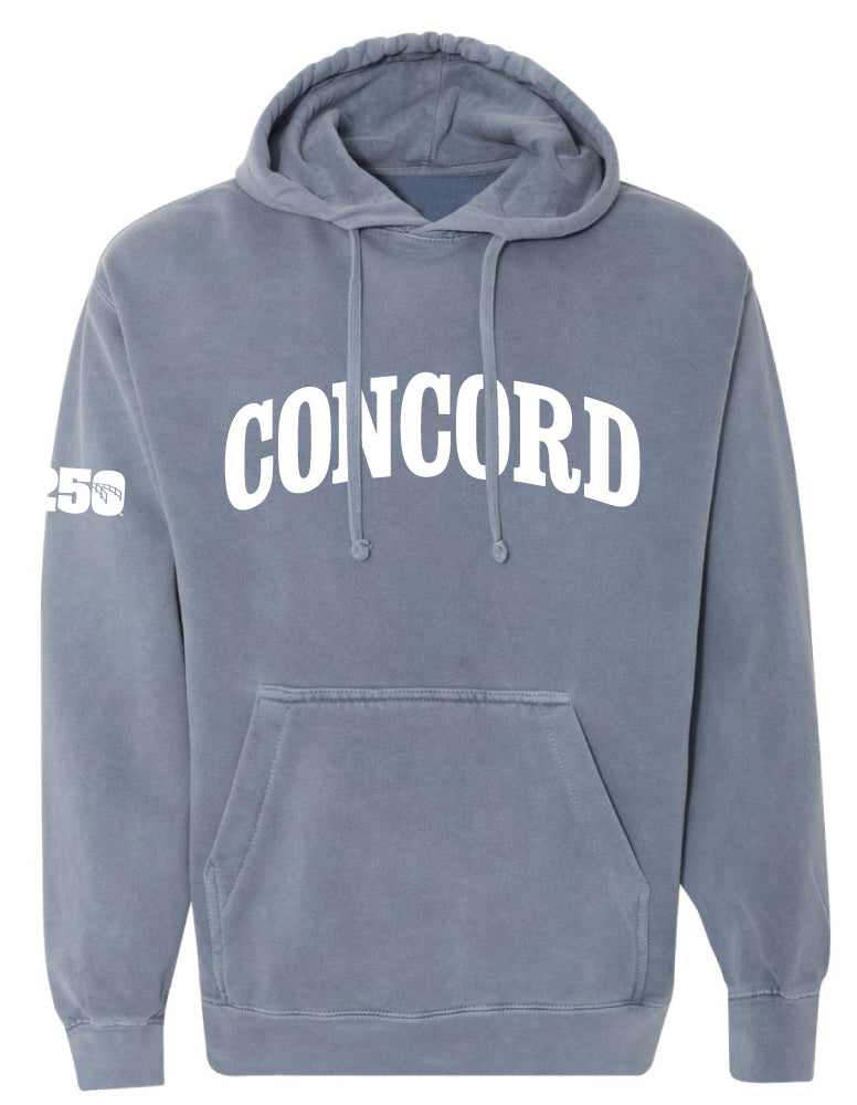 250 Unisex Hooded Sweatshirt