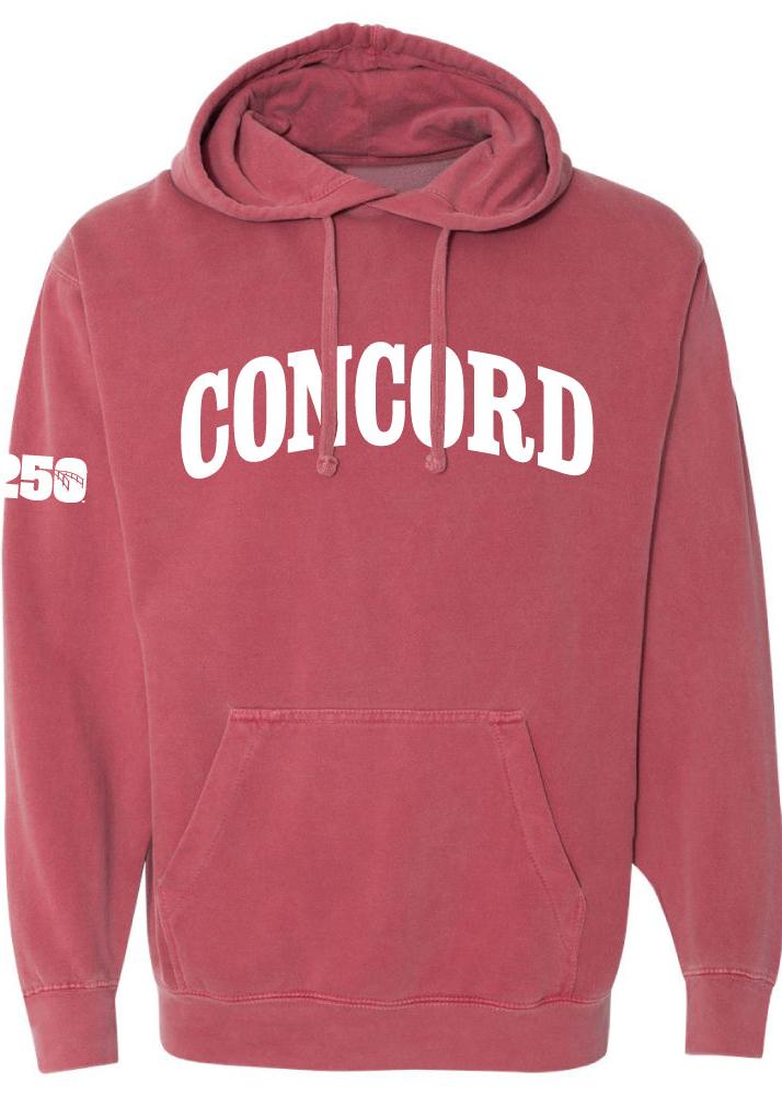 250 Unisex Hooded Sweatshirt
