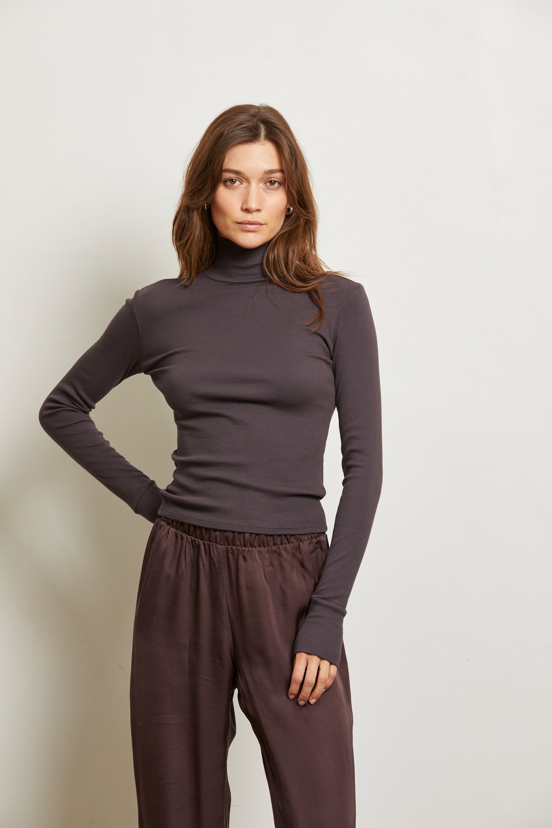 Hayden Luxe Rib Turtle Neck-Core Sweaters-Happy on Main