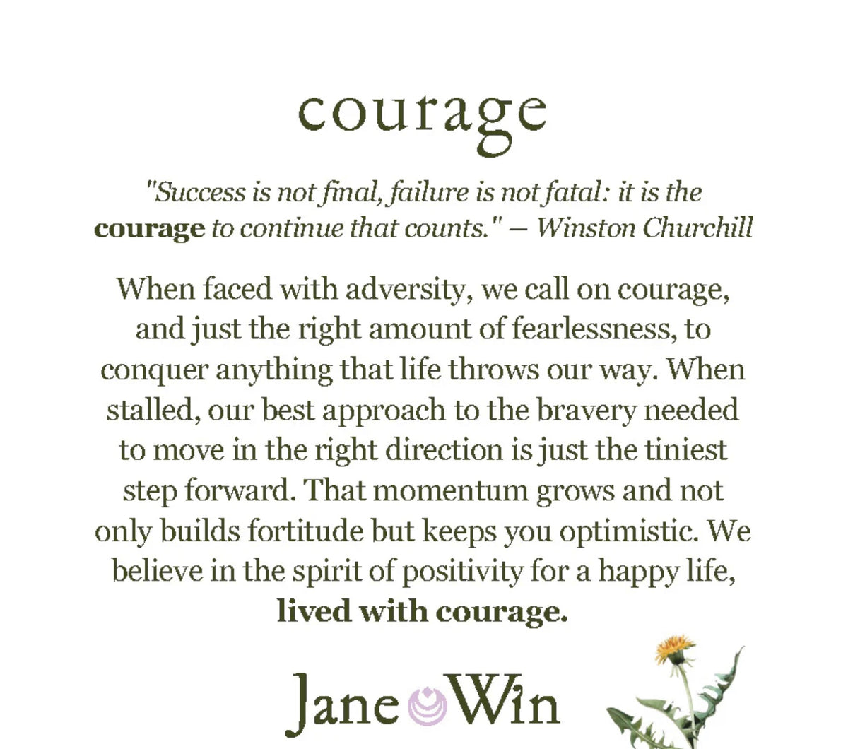 COURAGE Year of the Horse Pendant Coin - 16-18" Classic Rolo Chain-Jane Win-Happy on Main