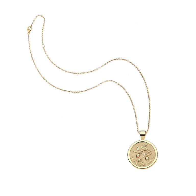 GRATITUDE JW Small Pendant Coin - 16-18" Classic Rolo Chain-Jane Win-Happy on Main