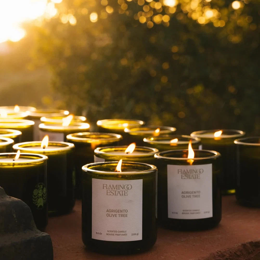 Agrigento Olive Tree Candle-Flamingo Estate-Happy on Main