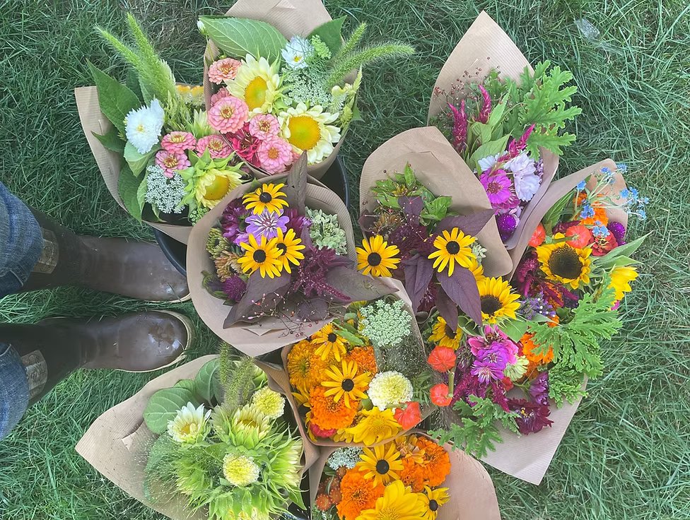Joy Farm - Summer Blooms Pickup | Thursday, August 13th