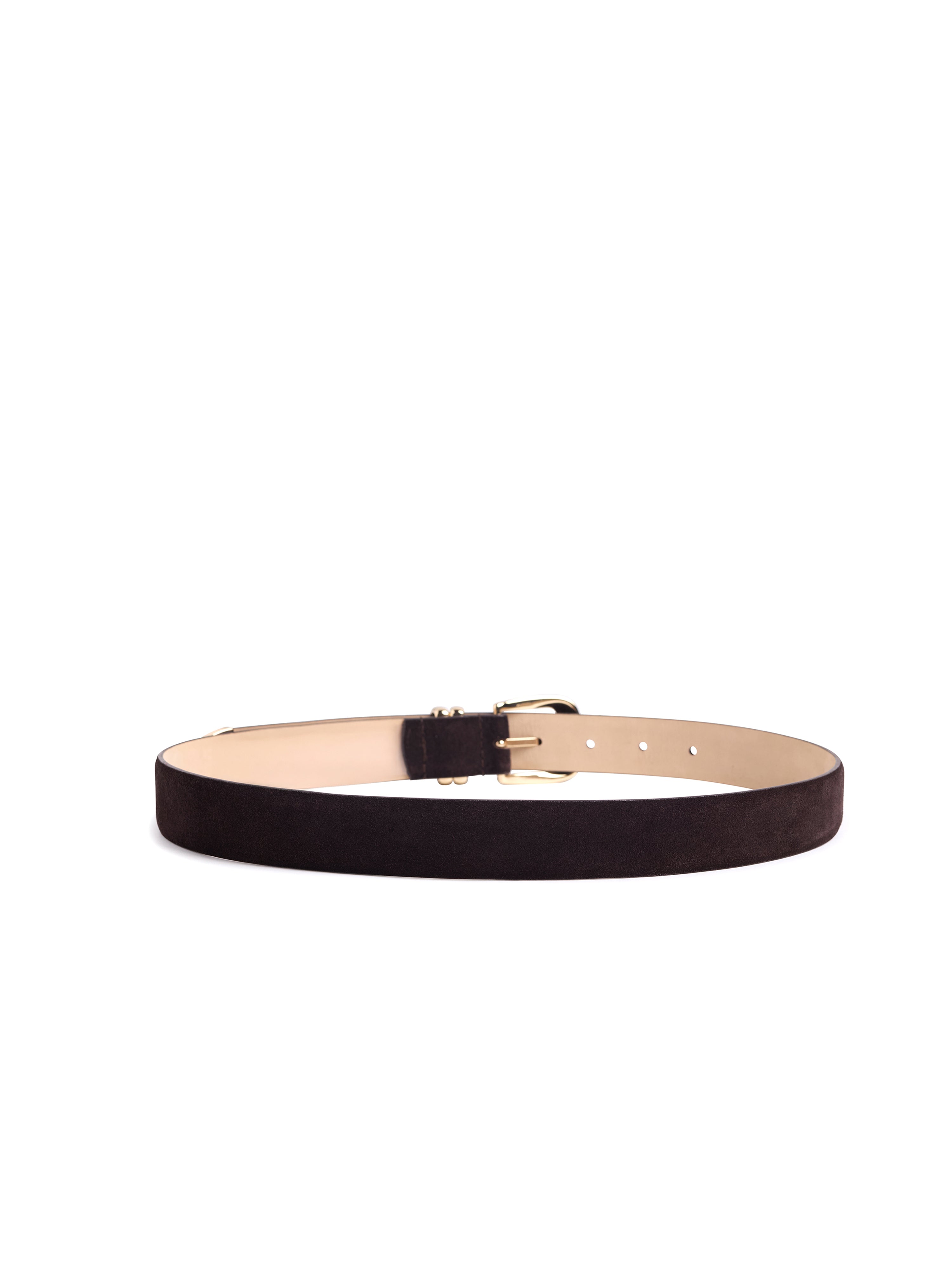 The Suede Jordan Belt - Chocolate/Polished Gold-Favorite Daughter-Happy on Main