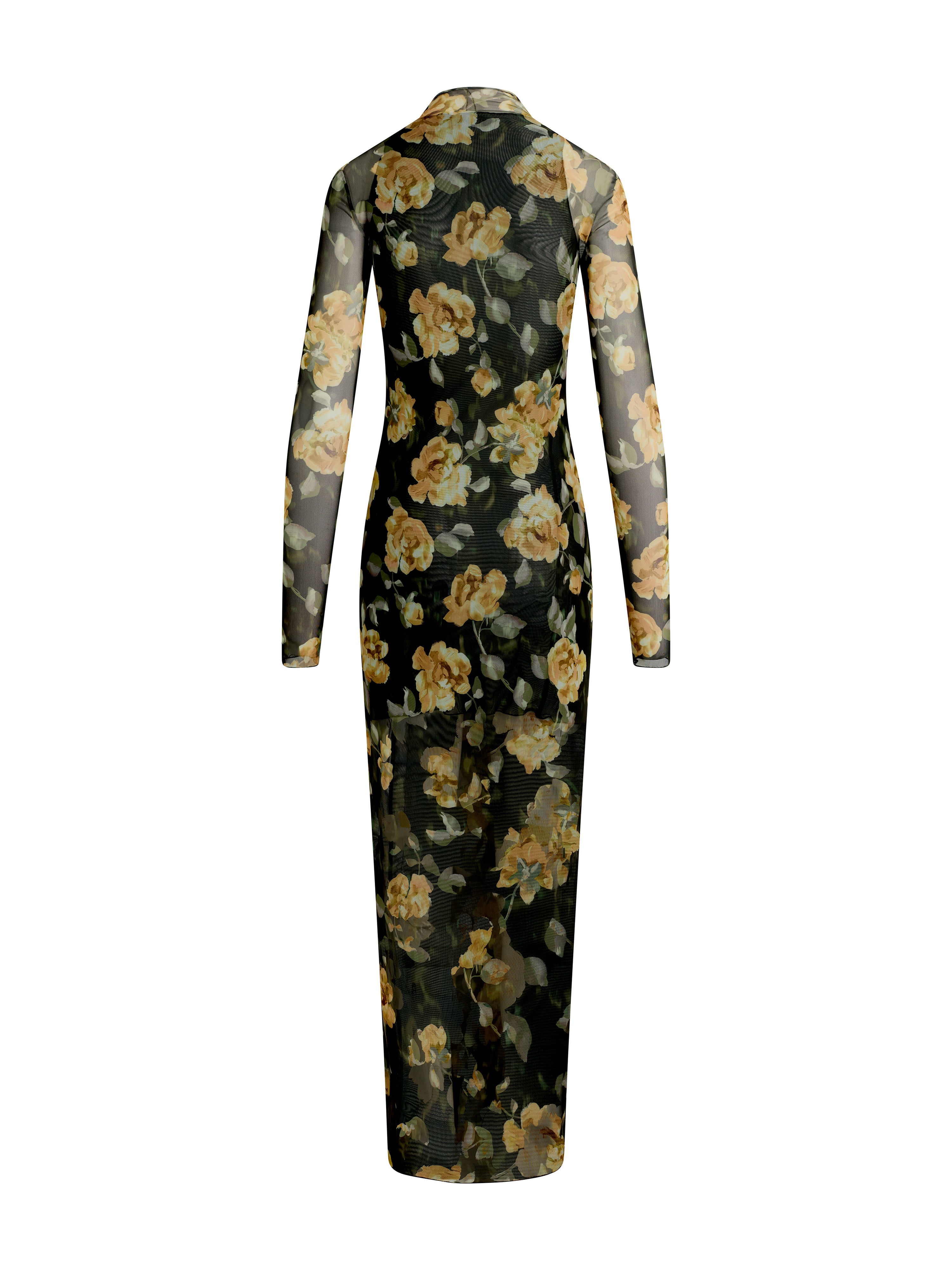 The Sheer Fantasy Dress-Dressy Dresses-Happy on Main